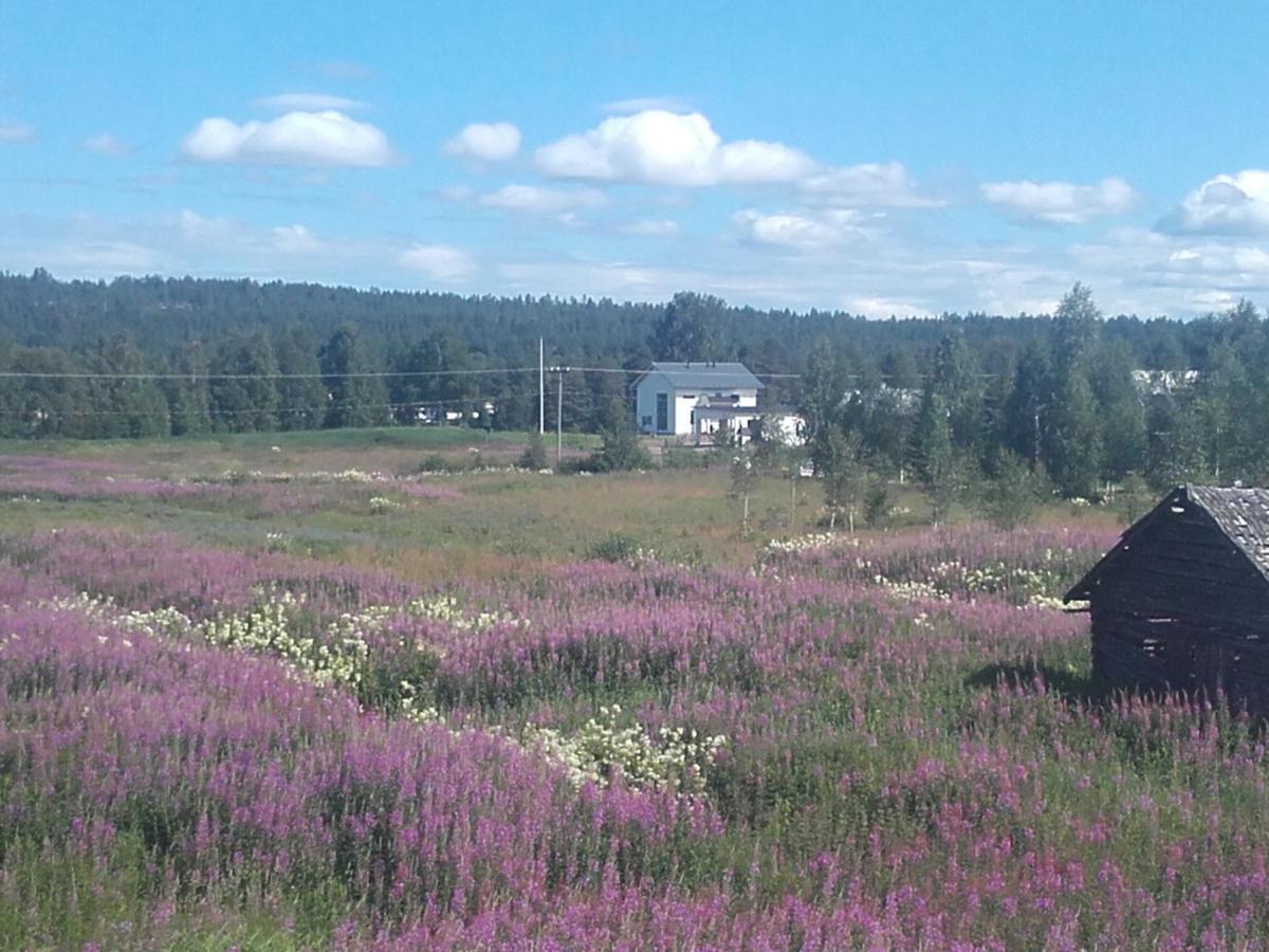 Arctic River Chalet Rovaniemi Zewnętrze zdjęcie