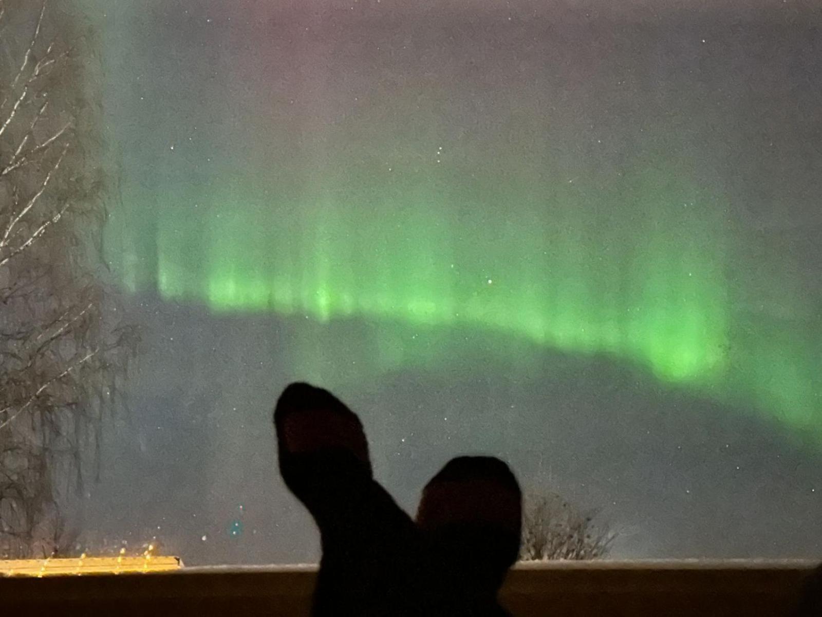Arctic River Chalet Rovaniemi Zewnętrze zdjęcie